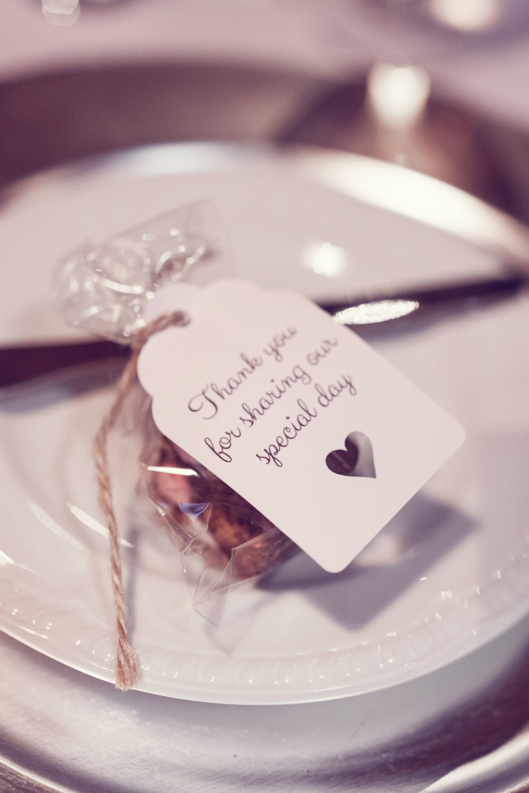 Hannah_Ben_Military-Christmas-Wedding_Honeydew-Moments_SBS_020