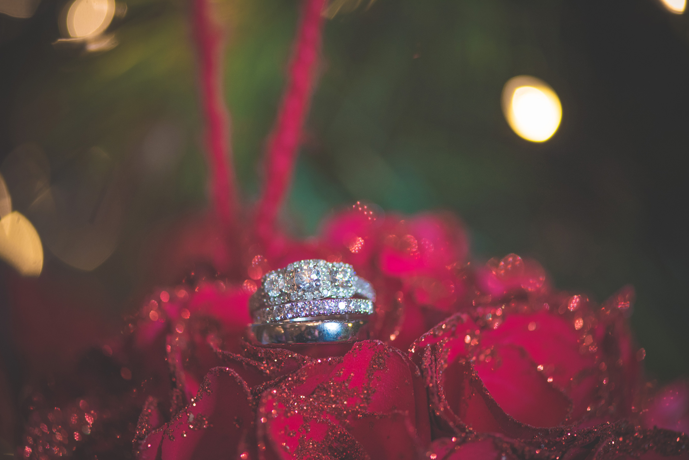 Jamine-James_Caroline-Smyth-Photography_Christmas-Wedding_045