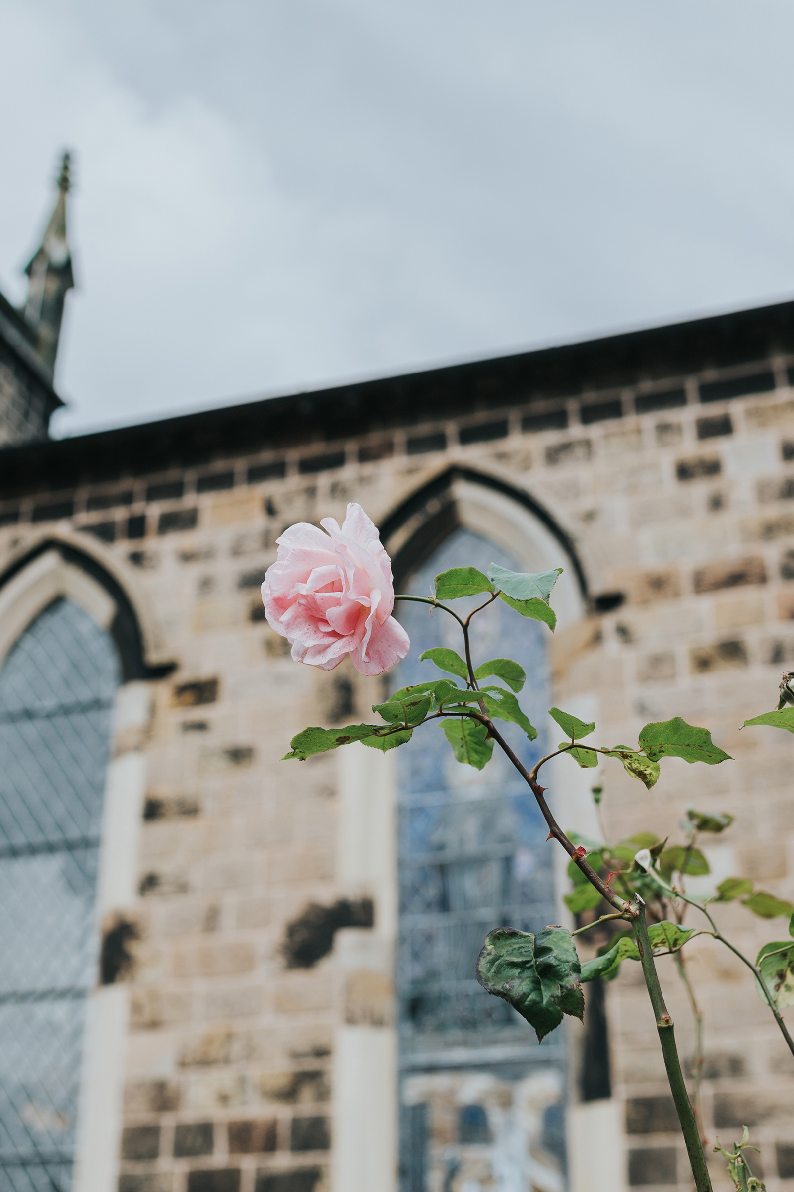 Jo_Mark_Vintage-Country-Wedding_Katie-Dervin-Photography_SBS_004