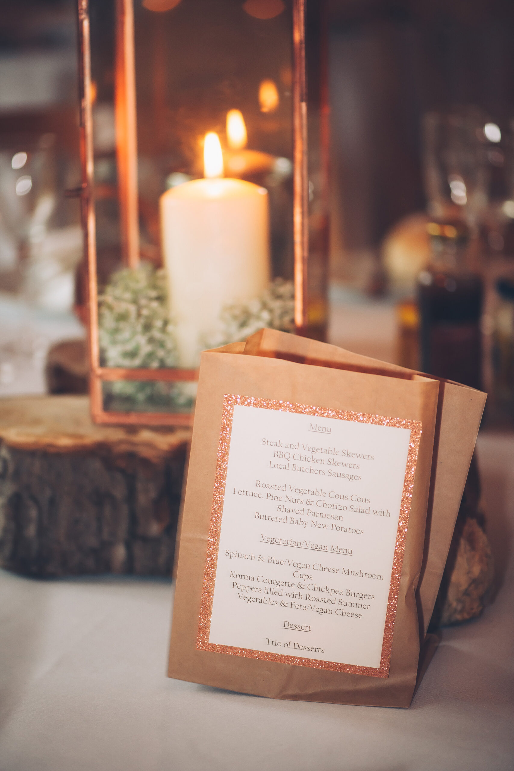 Joelle_Ross_Glam-Rustic-Wedding_SBS_023