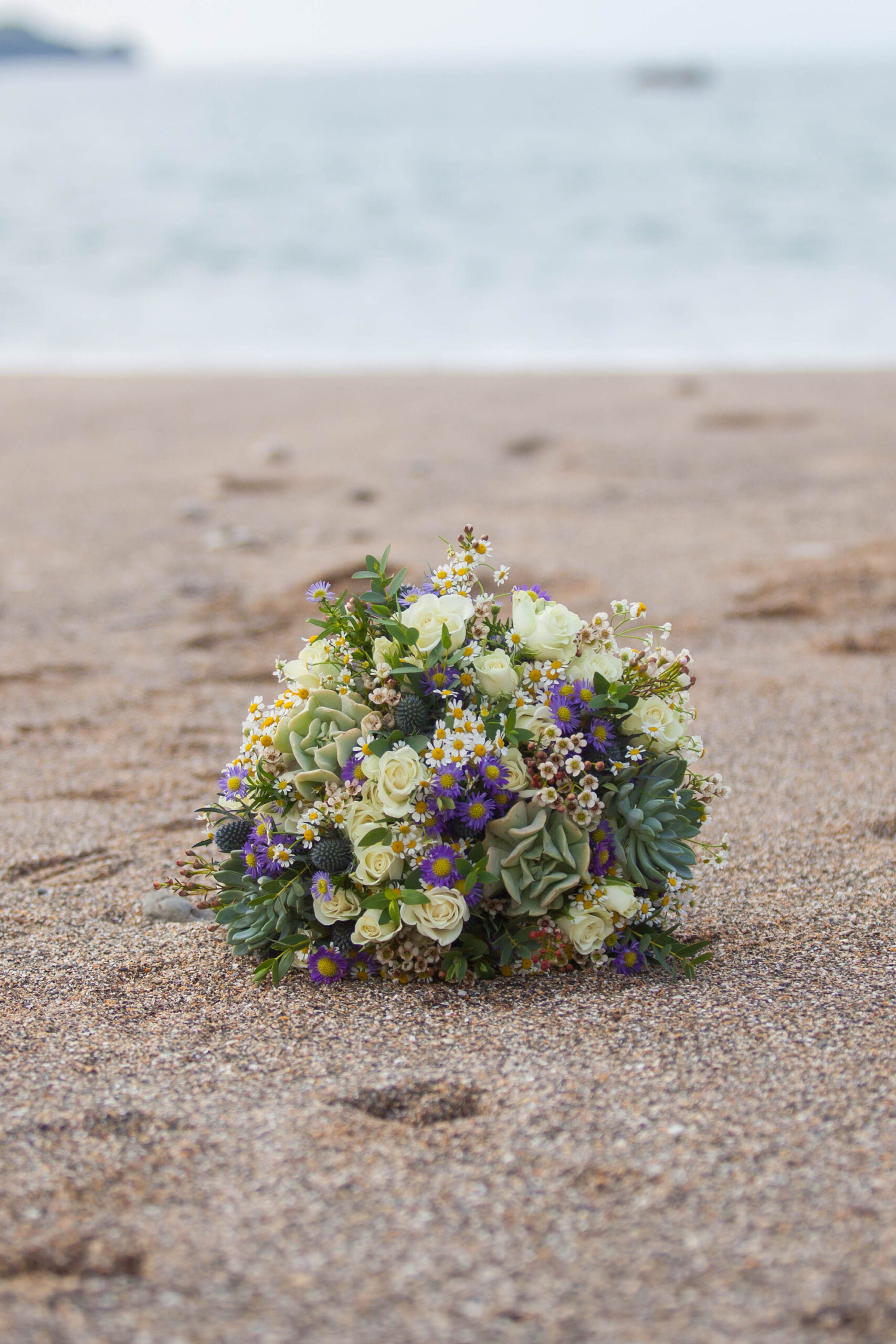 Karn_Daniel_Classic_Seaside-Wedding_Carolyn-Oakley-Images-Photography_SBS_033