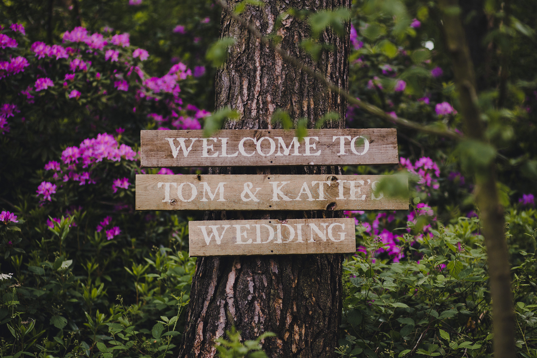 Katie_Tom_Woodland-Wedding_002