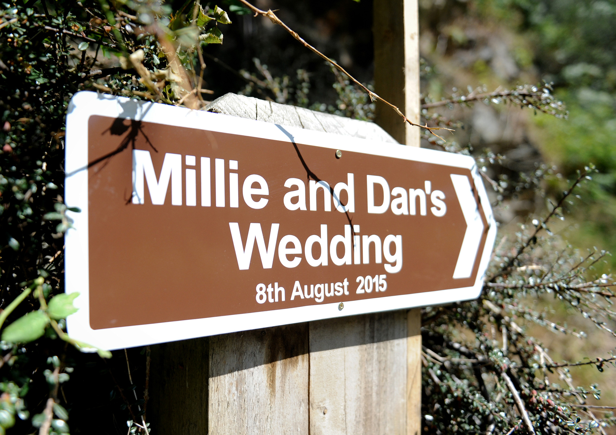 Millie_Dan_DIY-Wedding_001