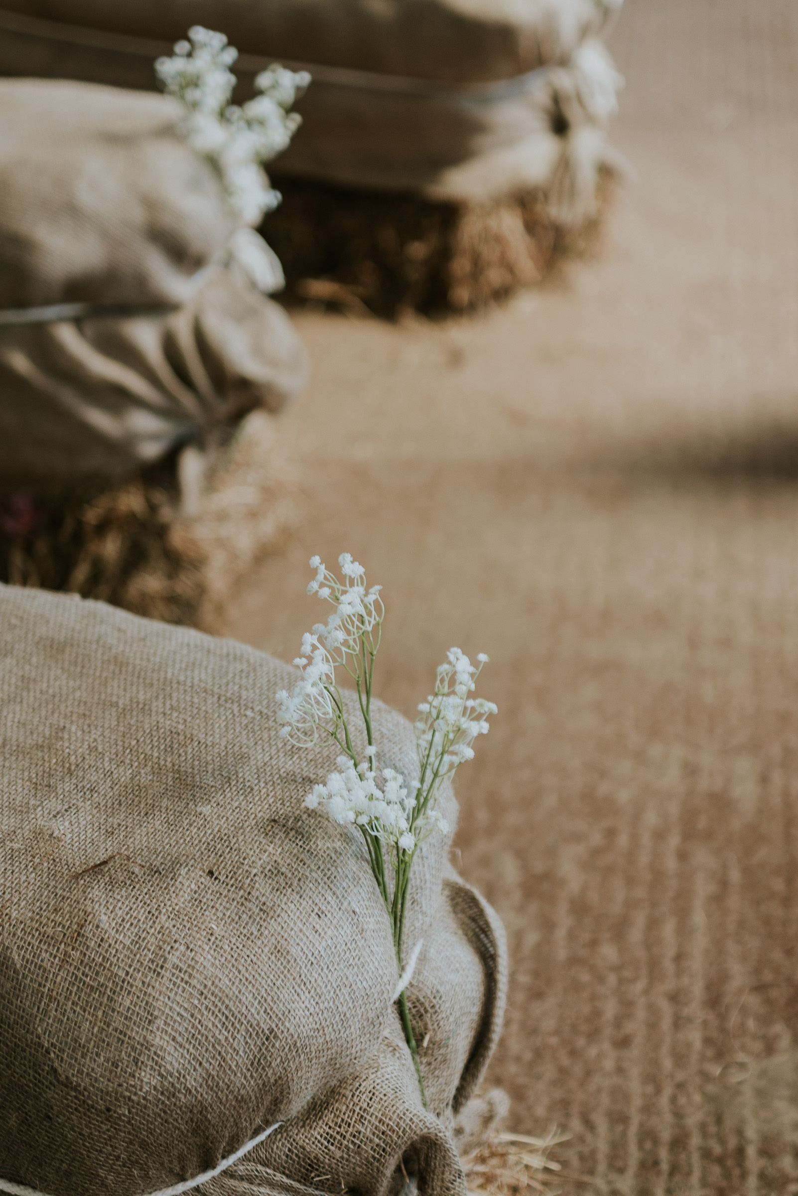 Natalie_Jim_Vintage-Farm-Wedding_017