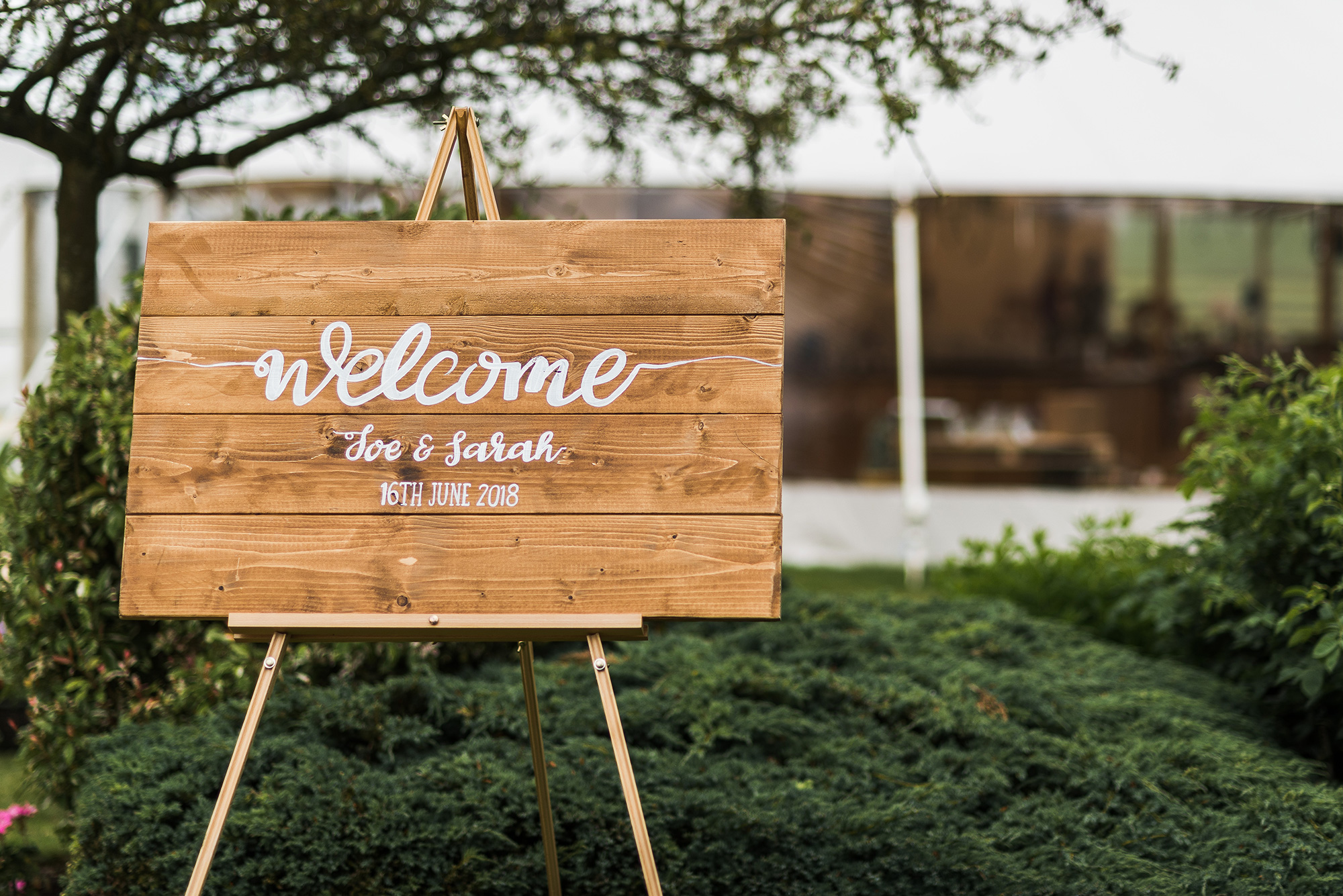 Sarah Joe Botanical Garden Wedding Paul Mockford Wedding Photography 020