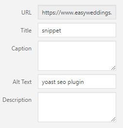 yoast seo plugin