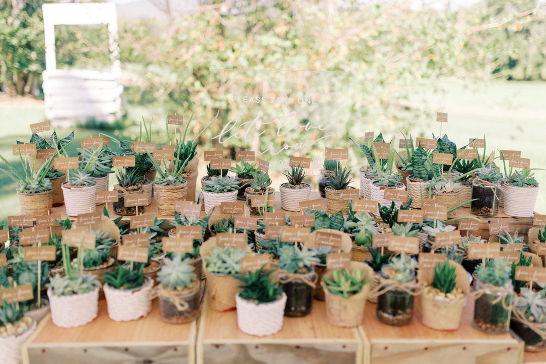 Plunket Villa Tamborine wedding in Queensland for Jess and James. Photographed by Lauren Olivia.