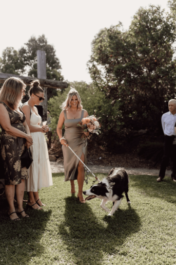 Anna and Chris' Wedding at The Shearing Shed photographed by Claire Davie