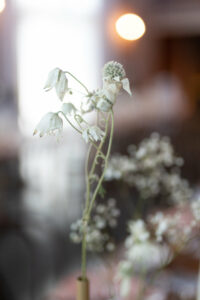 The Valley Estate wedding for Suzy and Braydon. Photographed by Mint Photography.