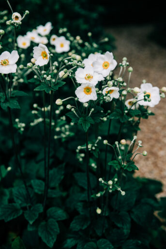 The Middle Ridge Golf Course wedding for Fiona and Ben. Photographed by Anna Tomlinson