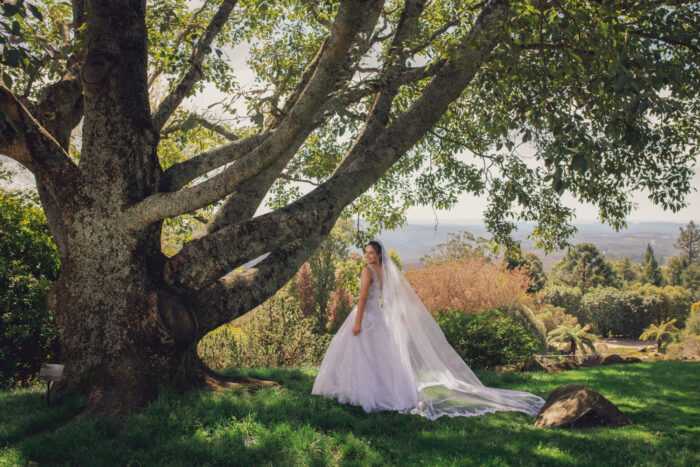 Blue Mountains Botanic Garden Weddings