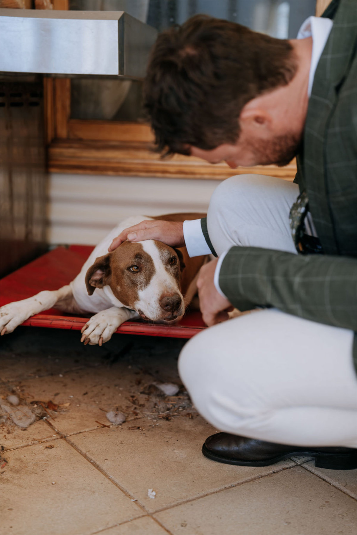 Planning a pet-friendly wedding April & Alex's wedding at The Old Dairy